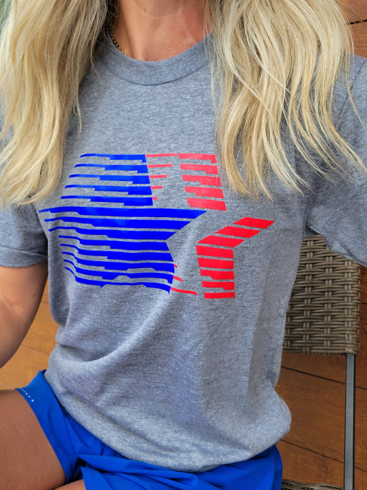 USA Vintage Stars Gray T-Shirt
