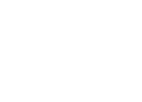 Press Screen Printing
